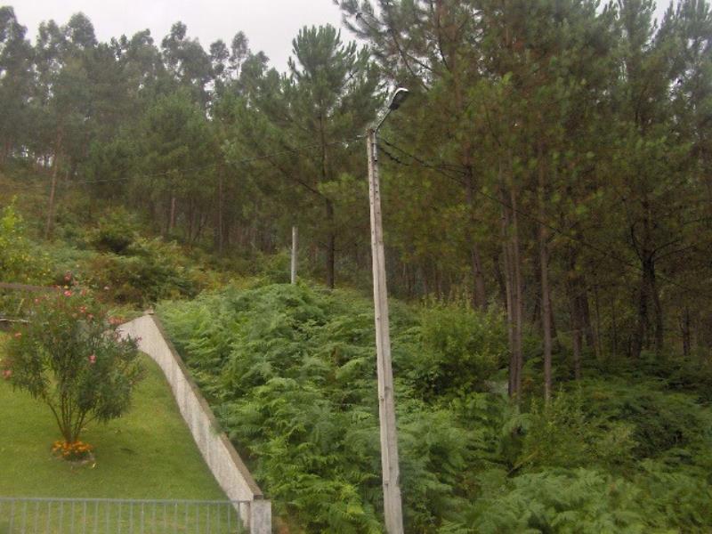 Terreno  Fafe, Freitas e Vila Cova - 101844 - 4