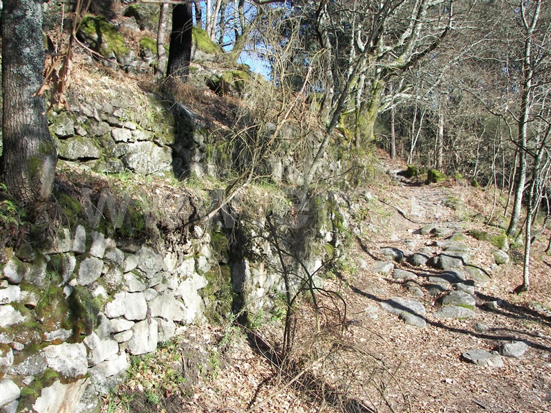 Terreno  Fafe, Freitas e Vila Cova - 1420492 - 3
