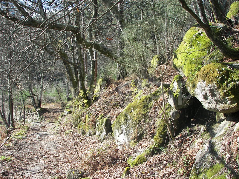 Terreno  Fafe, Freitas e Vila Cova - 1420492 - 4