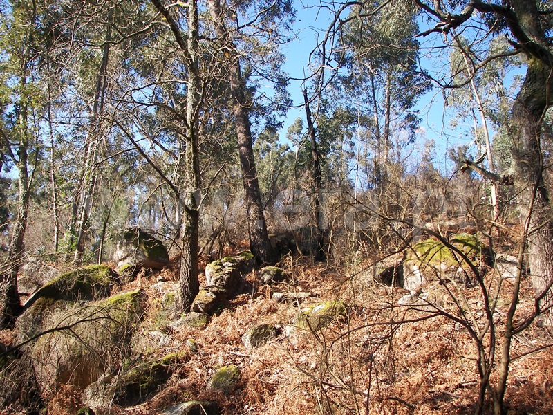 Terreno  Fafe, Freitas e Vila Cova - 1420492 - 9