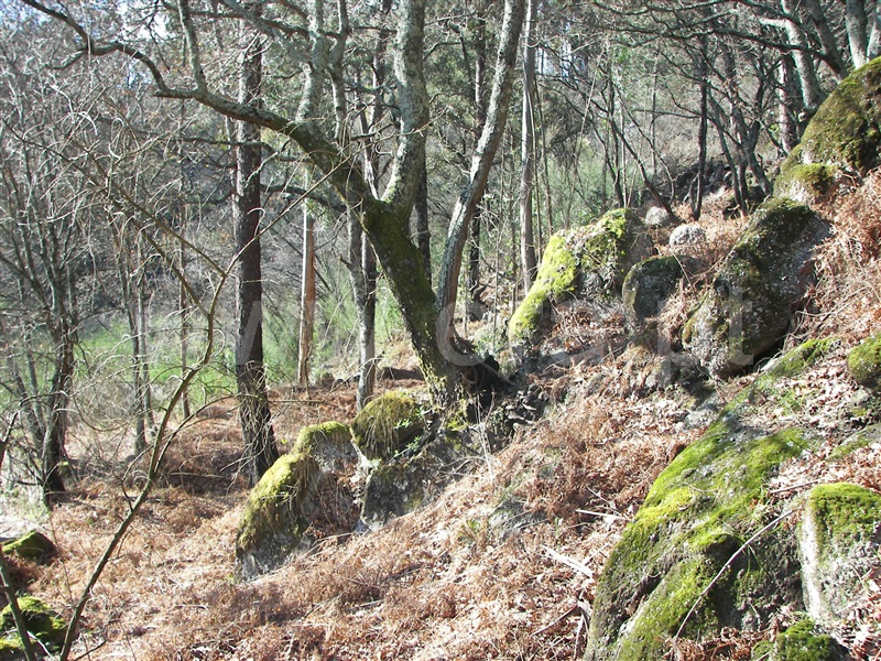 Terreno  Fafe, Freitas e Vila Cova - 1420492 - 10