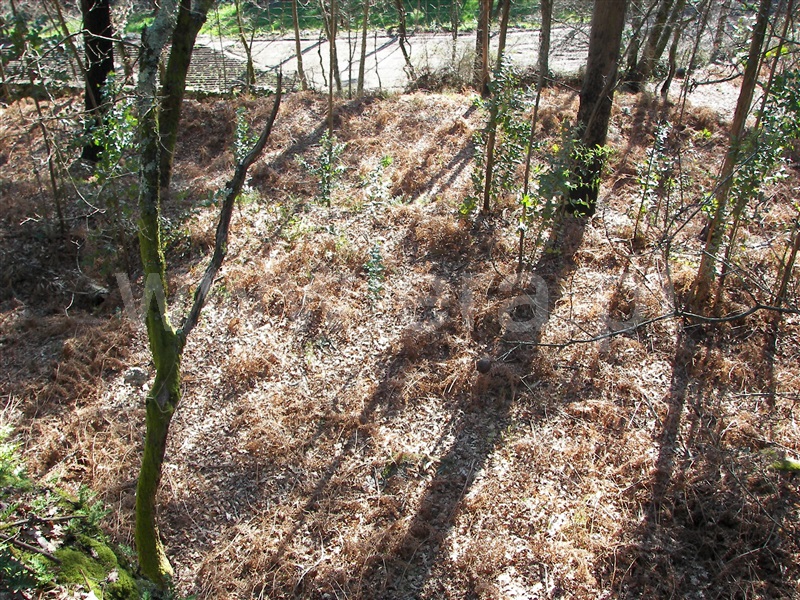 Terreno  Fafe, Freitas e Vila Cova - 1420492 - 11