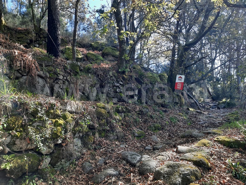 Terreno  Fafe, Freitas e Vila Cova - 1420492 - 13
