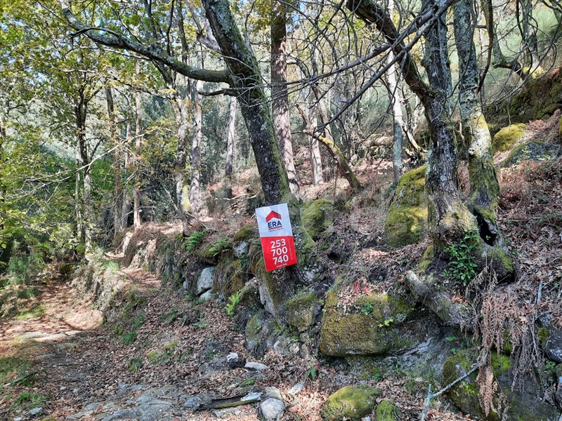 Terreno  Fafe, Freitas e Vila Cova - 1420492 - 14