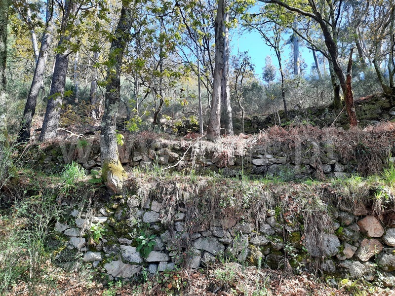 Terreno  Fafe, Freitas e Vila Cova - 1420492 - 15