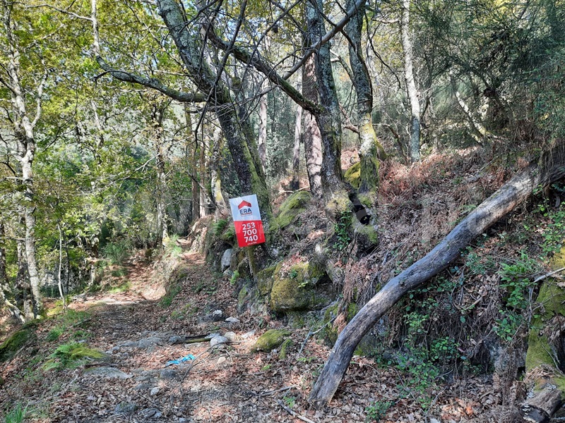 Terreno  Fafe, Freitas e Vila Cova - 1420492 - 16