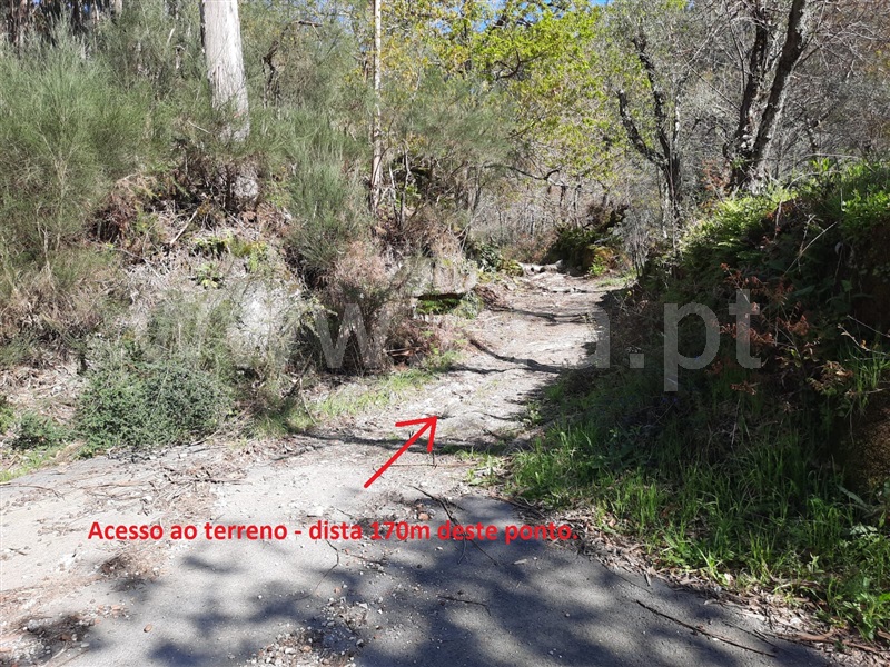 Terreno  Fafe, Freitas e Vila Cova - 1420492 - 17
