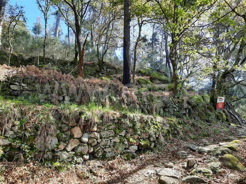 Terreno / Fafe, Freitas e Vila Cova