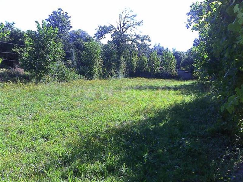 Terreno  Fafe, Freitas e Vila Cova - 553953 - 3