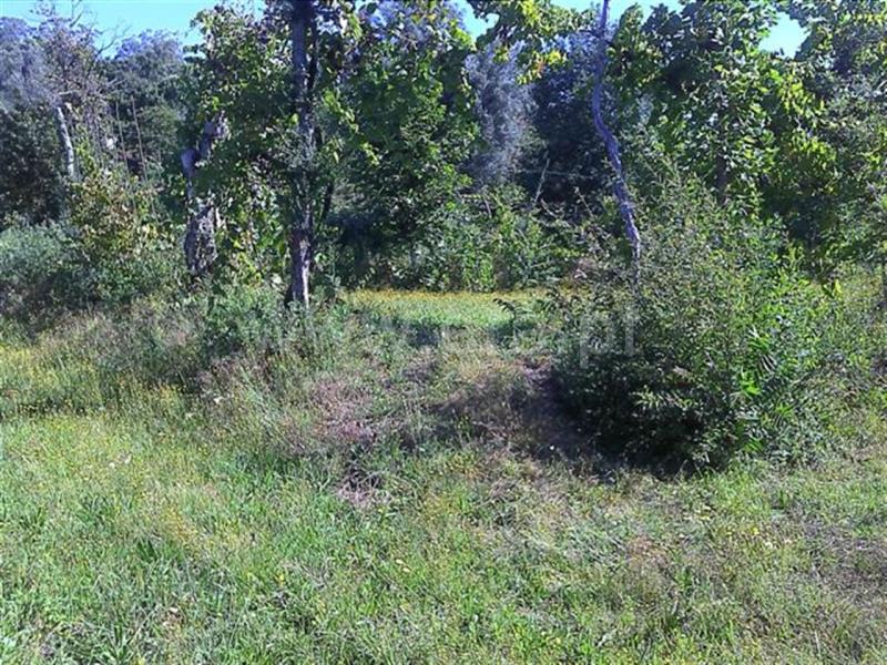 Terreno / Fafe, Freitas e Vila Cova