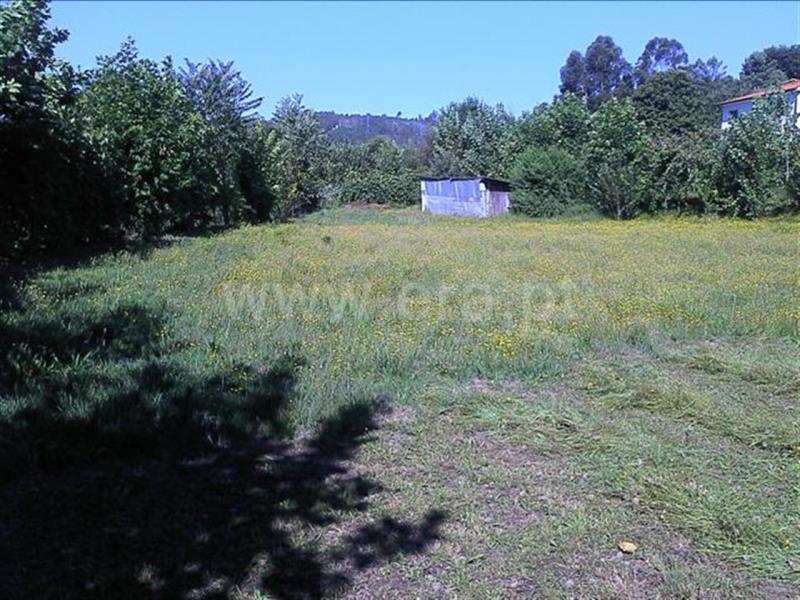 Terreno  Fafe, Freitas e Vila Cova - 553953 - 4