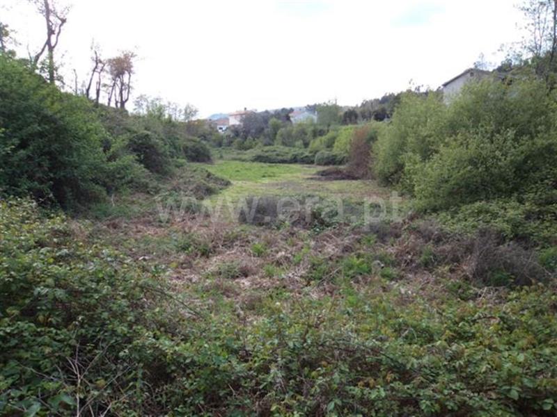 Terreno  Fafe, Freitas e Vila Cova - 583707 - 1