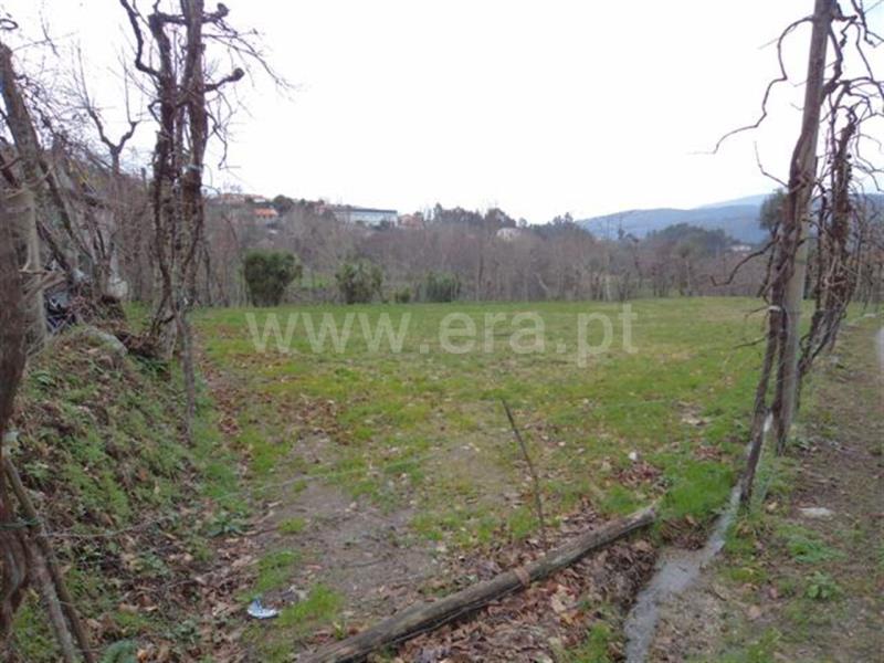 Terreno  Fafe, Freitas e Vila Cova - 585394 - 2