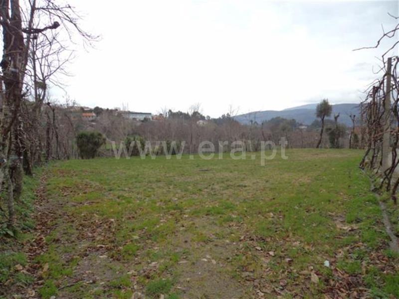 Terreno / Fafe, Freitas e Vila Cova
