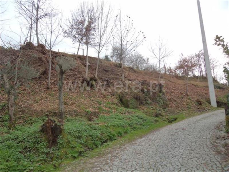 Terreno  Fafe, Freitas e Vila Cova - 585394 - 4