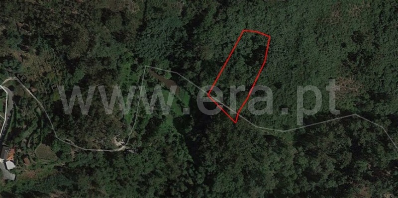 Terreno / Fafe, Freitas e Vila Cova