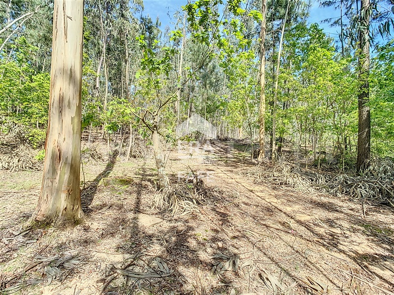 Terreno para Construção  Fafe, Golães - 102797 - 2