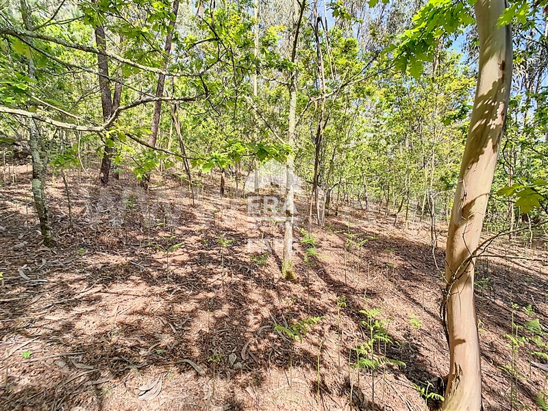 Terreno para Construção  Fafe, Golães - 102797 - 7