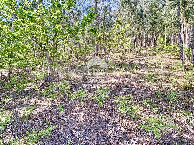 Terreno para Construção  Fafe, Golães - 102797 - 13