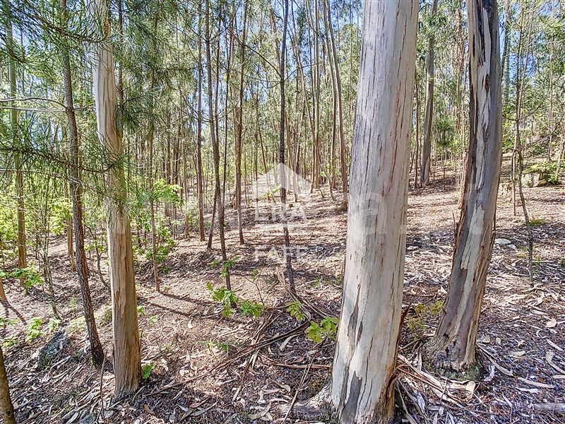 Terreno para Construção  Fafe, Golães - 102797 - 14