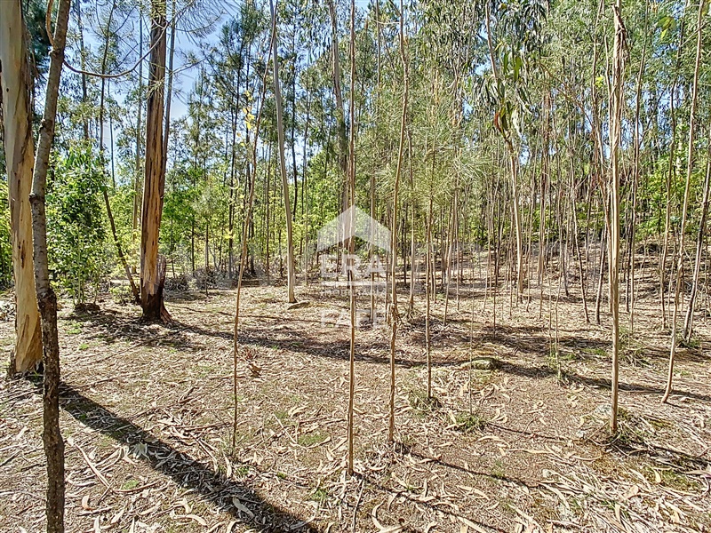 Terreno para Construção  Fafe, Golães - 102797 - 16