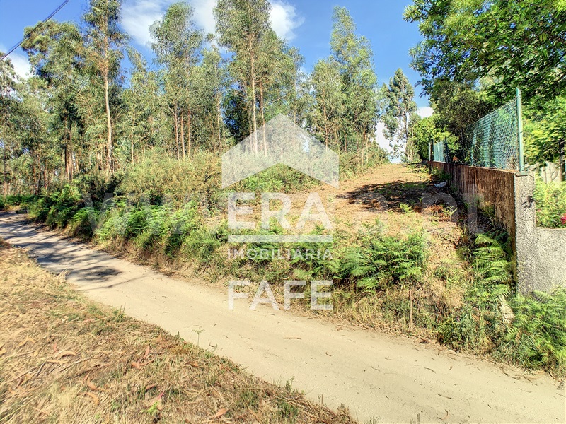 Terreno  Fafe, Medelo - 695384 - 3