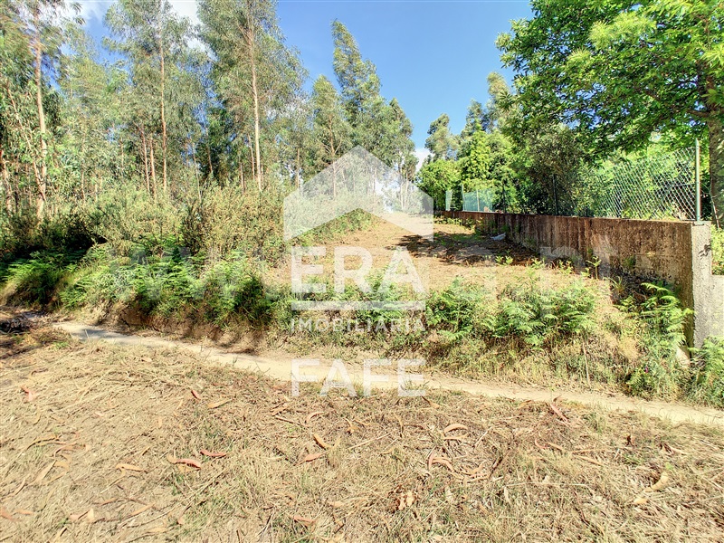 Terreno  Fafe, Medelo - 695384 - 4