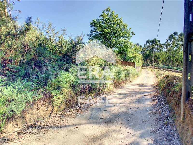 Terreno  Fafe, Medelo - 695384 - 5