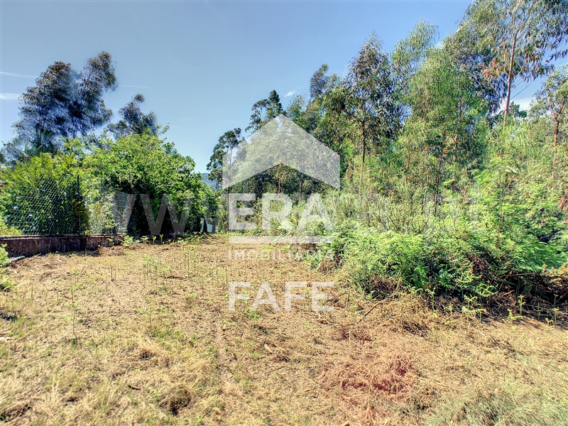 Terreno  Fafe, Medelo - 695384 - 6