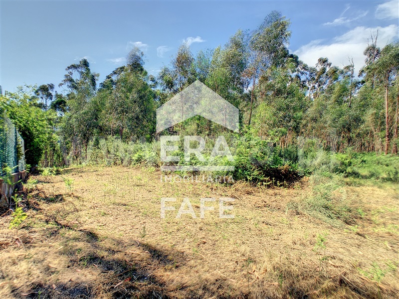 Terreno  Fafe, Medelo - 695384 - 7