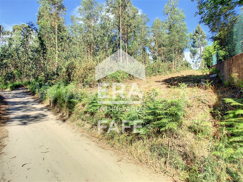 Terreno  Fafe, Medelo - 695384 - 8