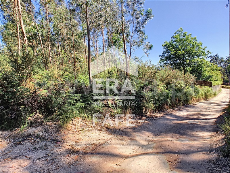 Terreno  Fafe, Medelo - 695384 - 9