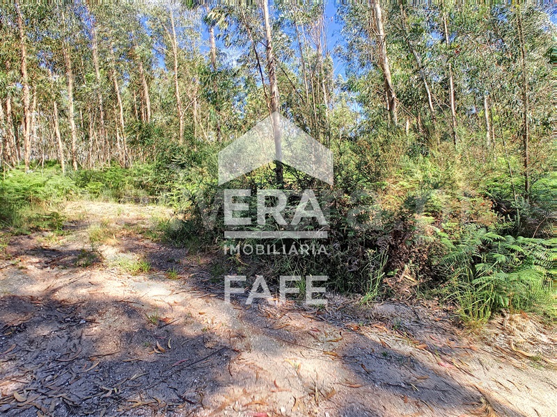 Terreno  Fafe, Medelo - 695384 - 10