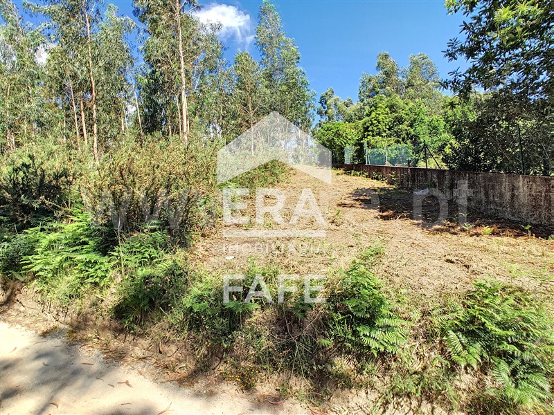 Terreno  Fafe, Medelo - 695384 - 11