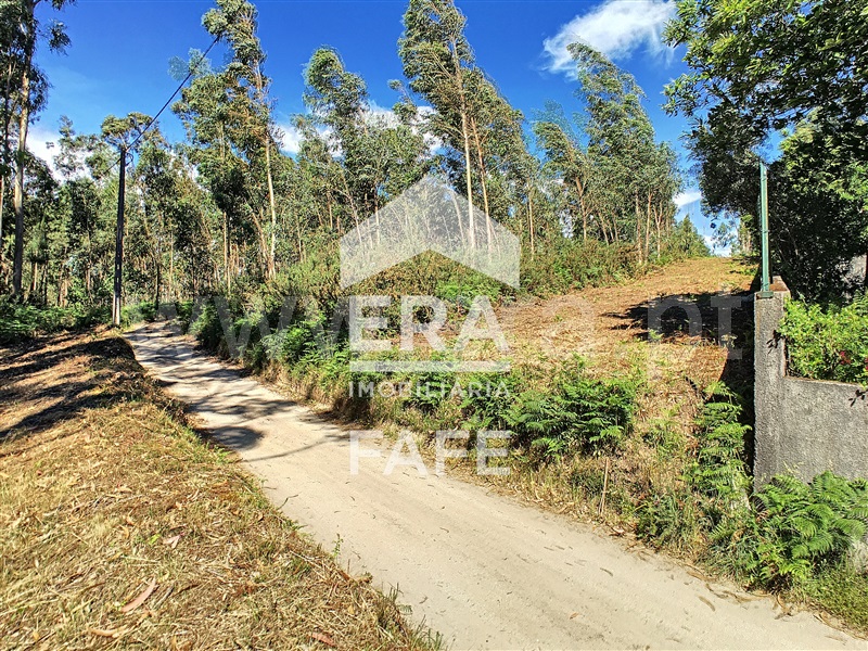 Terreno / Fafe, Medelo