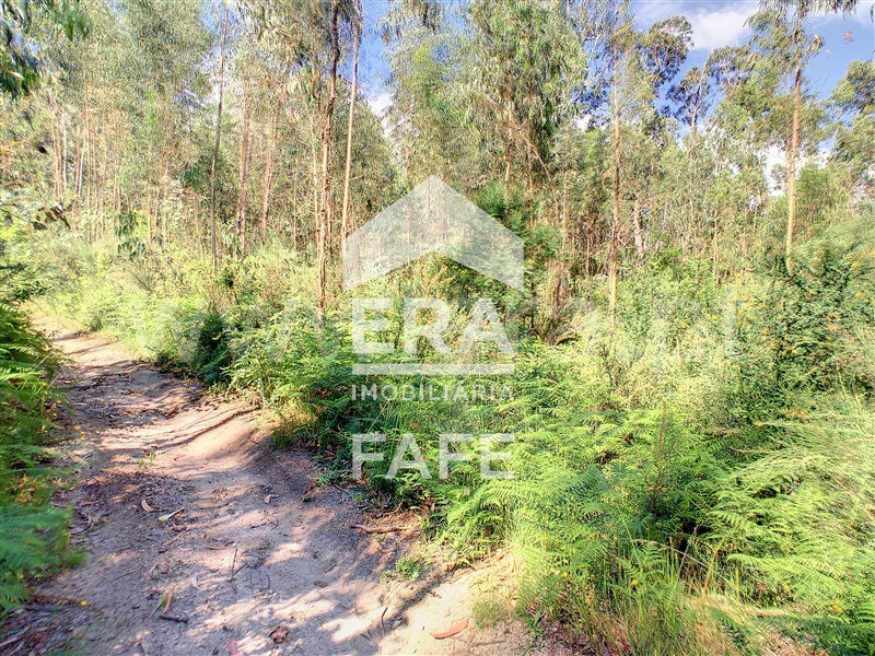 Terreno  Fafe, Medelo - 698162 - 2