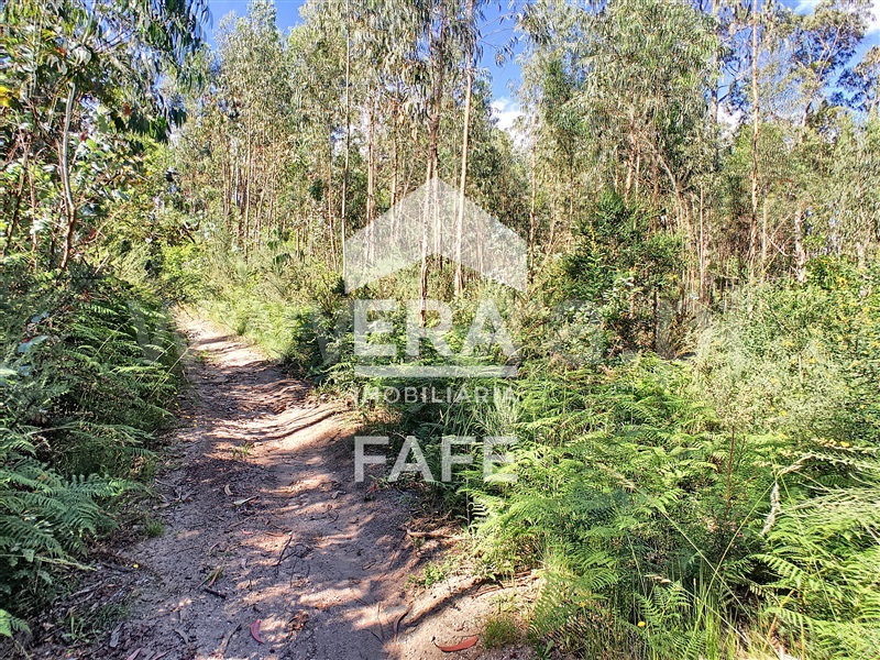 Terreno  Fafe, Medelo - 698162 - 3