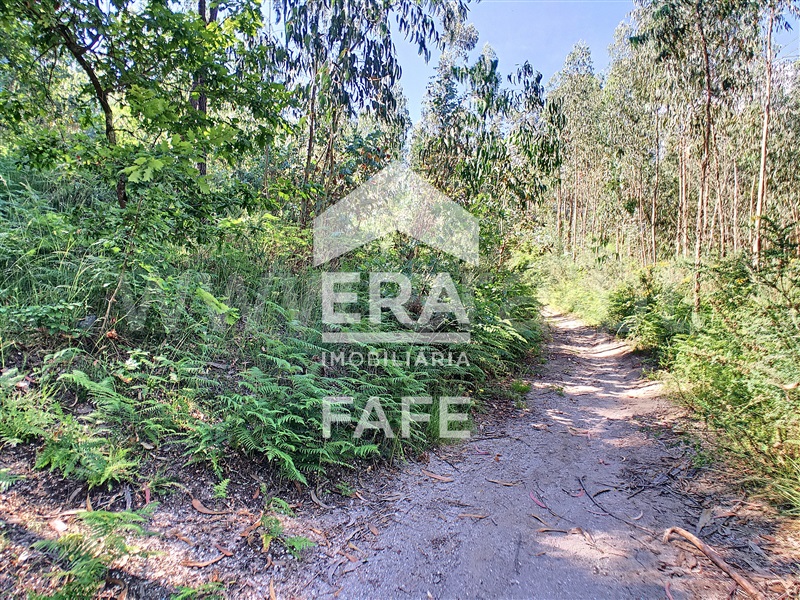 Terreno  Fafe, Medelo - 698162 - 4