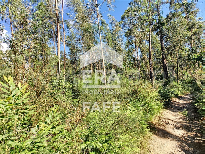 Terreno  Fafe, Medelo - 698162 - 5