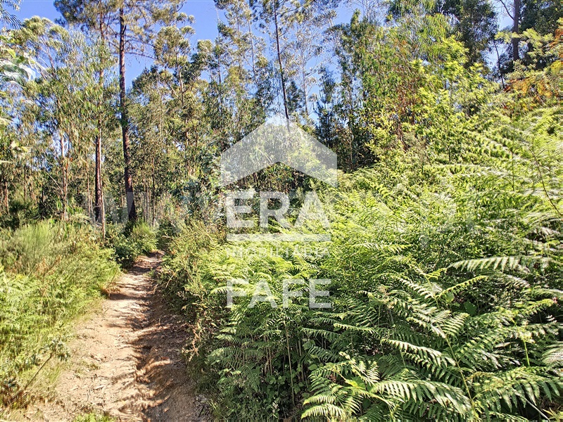 Terreno  Fafe, Medelo - 698162 - 6