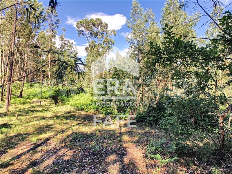 Terreno  Fafe, Medelo - 698162 - 8