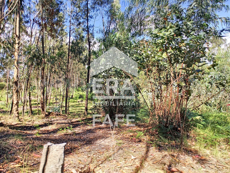 Terreno  Fafe, Medelo - 698162 - 9