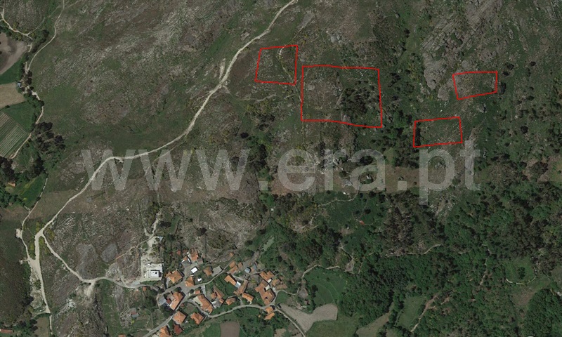 Terreno / Fafe, Monte e Queimadela
