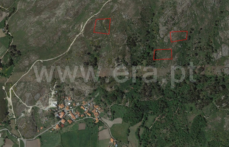 Terreno / Fafe, Monte e Queimadela