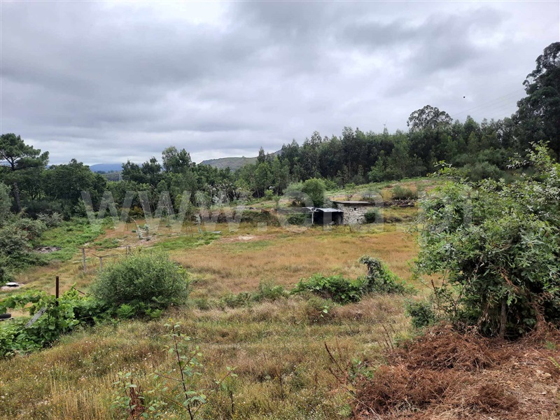 Terreno  Fafe, Monte e Queimadela - 1343898 - 2