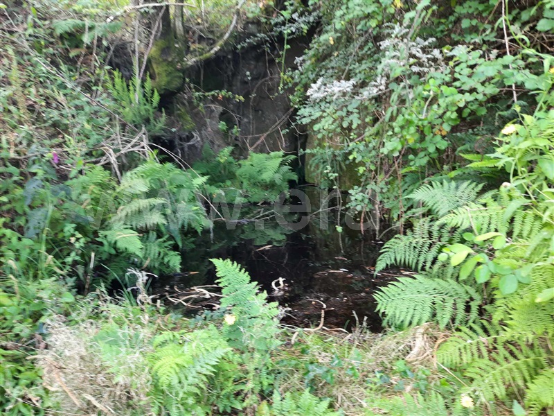 Terreno  Fafe, Monte e Queimadela - 1343898 - 6