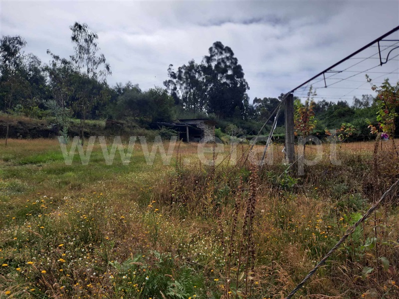 Terreno  Fafe, Monte e Queimadela - 1343898 - 7