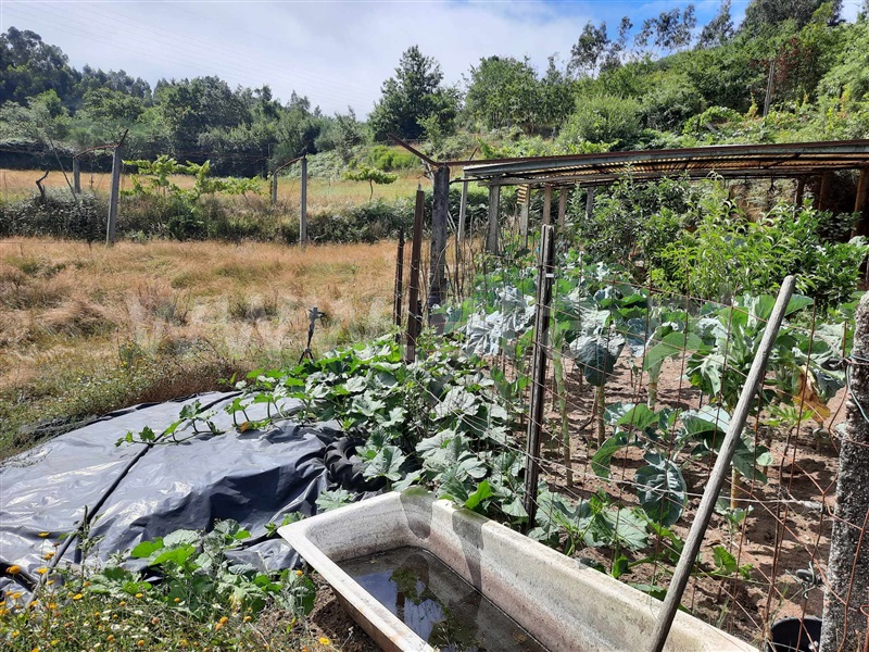 Terreno  Fafe, Monte e Queimadela - 1343898 - 9