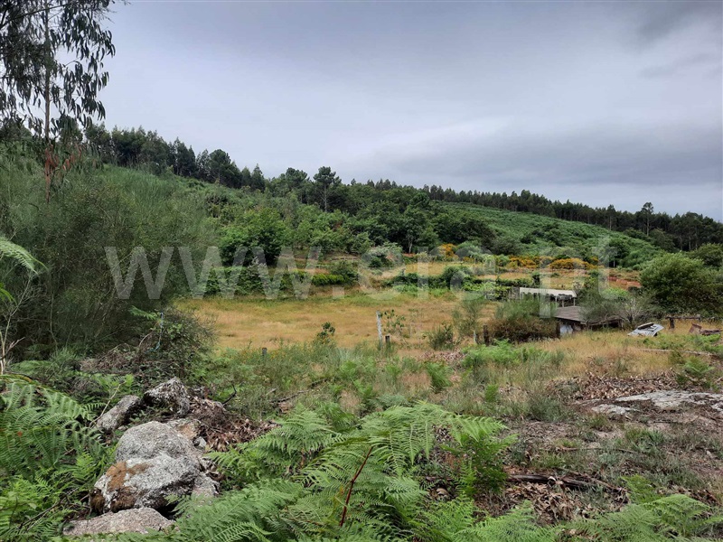 Terreno  Fafe, Monte e Queimadela - 1343898 - 11