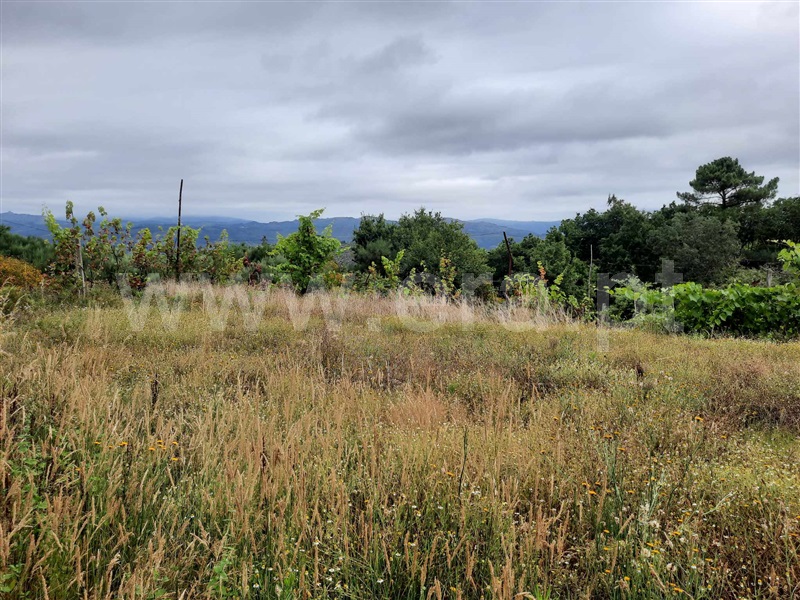 Terreno  Fafe, Monte e Queimadela - 1343898 - 12